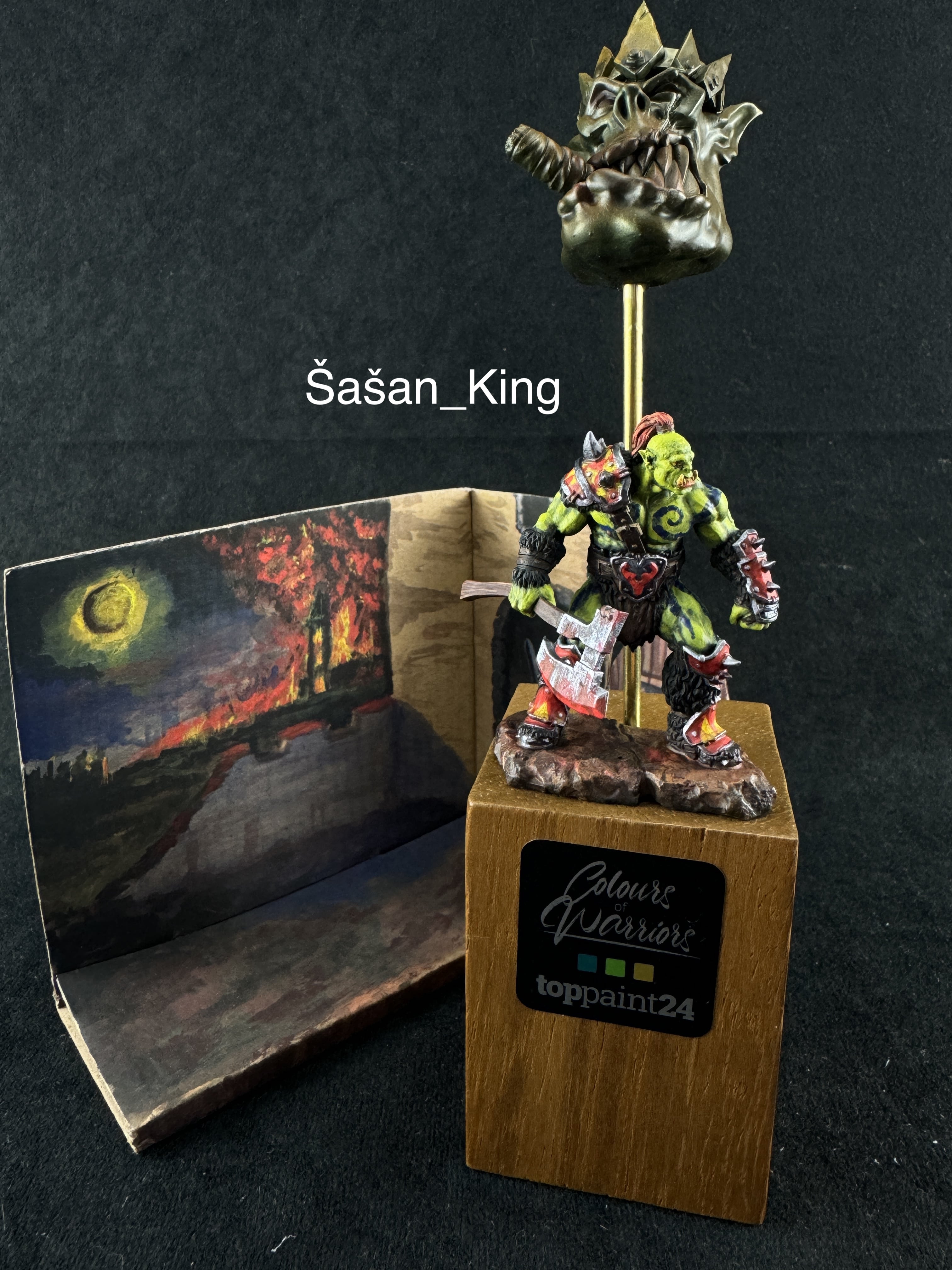Šašan_King-winner-min